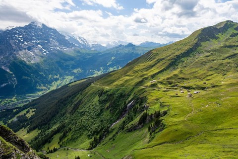 View of mountain landscape with green meadows and alpine huts Bachlager, Grindelwald First,
