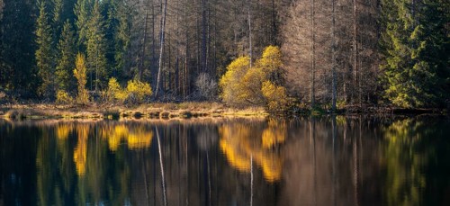 Small lake in the Thuringian Forest in autumn, forest reflected, Ochsenbacher Teich, Thuringia,