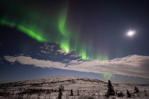 Northern Lights (Aurora borealis) and moonlight, Dundret Nature Reserve, Norrbotten, Lapland,