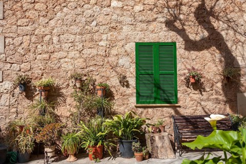 Sunlit stone wall with green shutters and various plants in pots, Majorca, Balearic Islands, Spain