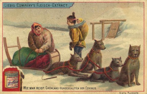 Picture series How to travel, traditional Eskimo dog sled in Greenland, favorite picture, digitally