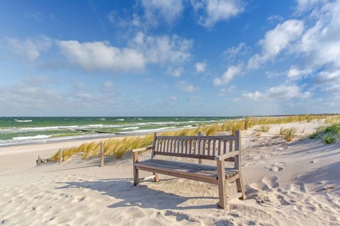 Public wooden bench in the dunes along the Baltic Sea on the Fischland-Darss-Zingst peninsula,