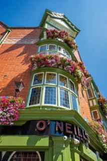 Close-up of historic building with blooming façade in sunny weather, Dublin, Ireland