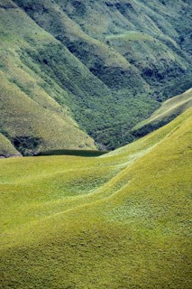 Detail, light and shadow, green meadows and mountain valley, mountain landscape of the Cathedral