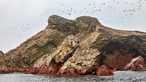 Rough rocks and flying birds over the sea, The rocky coast of the Ballestas Islands near Paracas in