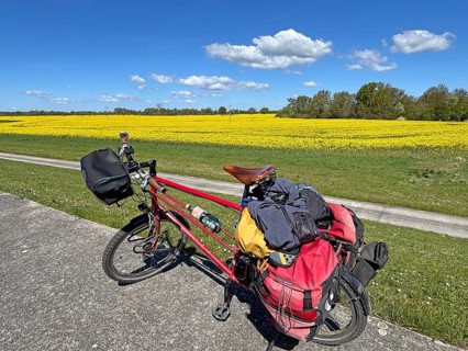 A loaded bicycle stands on a path next to a yellow rapeseed field under a blue sky, bicycle trips,