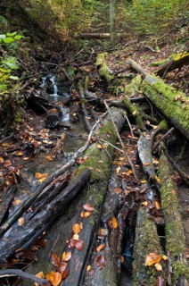 Buchenberg, Germany, Greiz, Thuringia, stream, brook, rivers, high size, portrait, landscape,