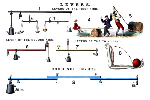 The illustration shows the three different types of lever, as well as a system of compound levers,
