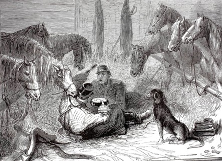 Russo-Ottoman War (1877–1878), Transport of Russian cavalry horses, illustration, reproduction of a