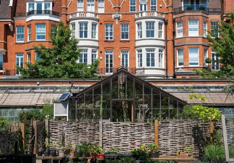 Victorian townhouses on Royal Hospital Road, woven fence and historic greenhouse, Chelsea Physic