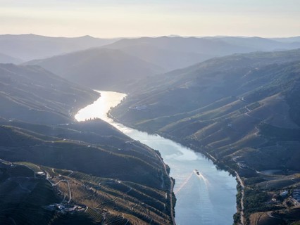 Panoramic aerial view of the Douro River and layered vineyard hills in Douro Valley, Portugal, with