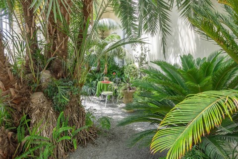 An idyllic seating area in a palm house, Kromeríž, Zlínský kraj, Czech Republic
