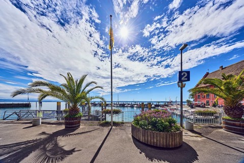 Lake Lake Constance, road, flagpole, lantern, planter with palm tree, flower pot, metal railing,