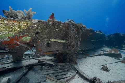 Underwater view of a shipwreck on the ocean floor with rusty metals and fish, meteor wreck dive