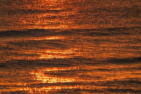 Setting sun colors the sea and small waves golden, Houvig Beach, North Sea, Denmark