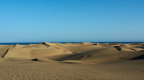 Seemingly endless dune landscape meets blue sea under cloudless sky, dunes of Maspalomas, Gran