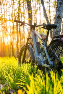 An e-bike in the forest at sunset, surrounded by bright greenery and young trees, e-bike,