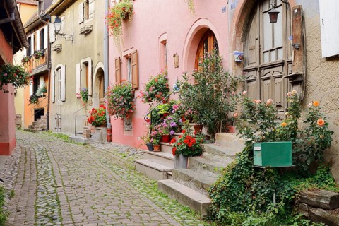 Houses in a lane, Eguisheim, Haut-Rhin, Alsace, Grand Est, France