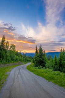 View along a dirt road leading through a forest in the mountains at sunset, Gol, Halligdal,