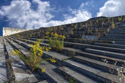 Wild plants grow on the main stand of the Zeppelin field on the former Reichsparteitagsgelände,
