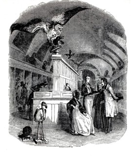 The natural history exhibition within the Natural History Museum in the Jardin des Plantes in
