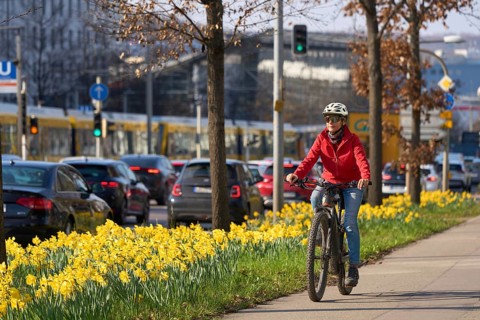 Middle aged woman riding an e-bike on a safe bike path lined with blooming daffodils during spring