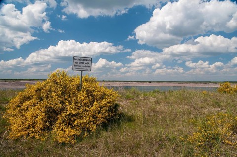 2008, Brandenburg, Germany, Nabu, Nabu Project, national natural heritage, natural paradise