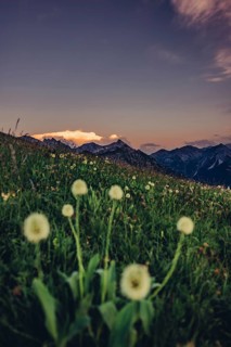 Hiking tour on the Hönig mountain in the Lechtal valley near Berwang in Tyrol, Austria