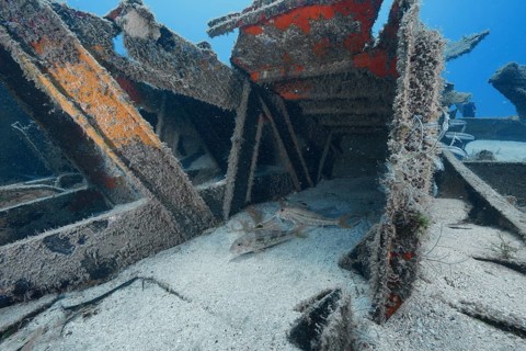 Rusty metal structure of a sunken ship in the ocean, meteor wreck dive site, Russian hydrofoil,
