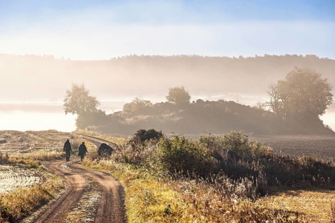 Two people walking along rural dirt road in soft morning light with mist rises over the surrounding