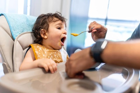 Young baby boy sitting in a high chair opening his mouth wide, being fed healthy vegetable puree by