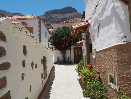 Picturesque village alley with white houses and blooming plants, Fataga, Barranco de Fataga, Gran