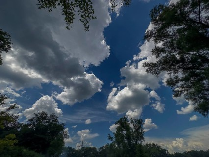 Accumulation of Cumulus cluster clouds, cumulus clouds, fair weather clouds against a blue sky