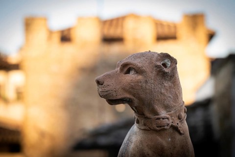 Terracotta statue of a dog with collar in front of blurred medieval building in the background,