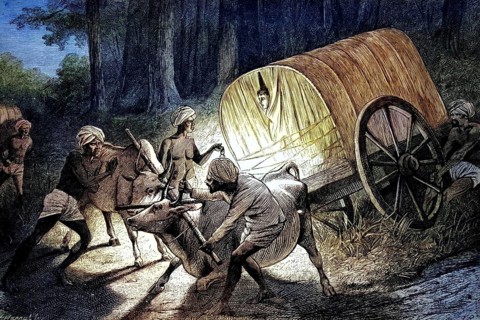 Scene showing men manoeuvring an ox-drawn covered wagon (Bandy) through a wooded area in
