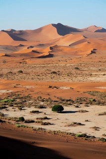 Red and yellow sand dunes of the Namib, Namib Desert, Namib-Naukluft National Park, Namibia