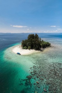 Aerial view of small tropical island with coral reef and turquoise water, Raja Ampat, West Papua,
