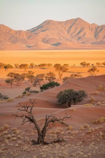 Evening, dry landscape in the NamibRand Nature Reserve, Naukluft Mountains behind, Namib Desert,