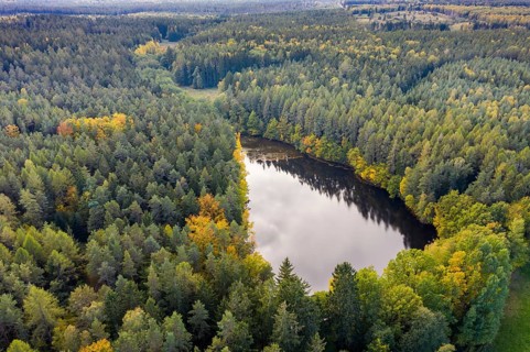 Floating ponds, Germany, Pöllwitz Forest, Thuringia, Lower Floeßteich, aerial view, landscape,