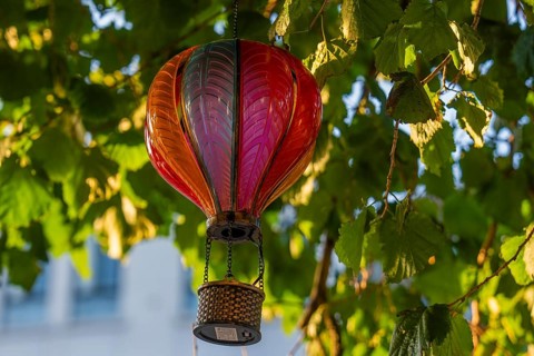 Small hot air balloon decoration hanging in a tree surrounded by green foliage in sunlight, Dublin,