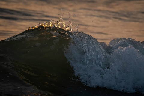 Detail, splashing seawater, breaking wave in evening light, Houvig Beach, North Sea, Denmark