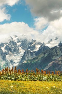 Towering jagged peaks rocky glacier mountain range fluffy clouds blue sky green alpine meadow