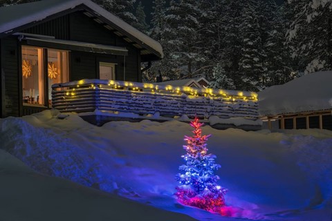 Colourfully lit Christmas tree in front of snowy wooden house, Gällivare, Norrbotten, Lapland,