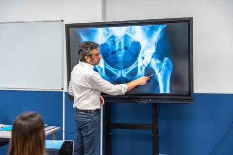Medical professional explaining hip and pelvis x ray to students in a classroom, discussing