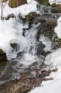 Stream, brook, ice, flowing water, high size, portrait format, ice, landscape, snow, snow, winter