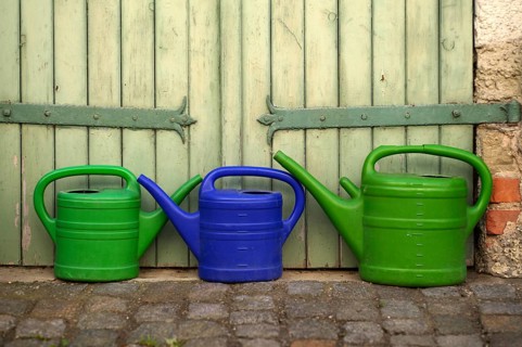 Watering cans stand in front of green gate, Altstadt, Besigheim an der Enz, Baden-Württemberg,
