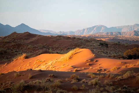 Sand dunes, landscape in the NamibRand nature reserve, in the background Naukluft Mountains, Namib