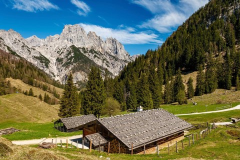 Bindalm, behind it the Mühlsturzhörner, Reiteralpe, Berchtesgaden National Park, Ramsau,