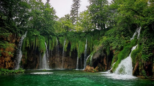 Many waterfalls flow over moss-covered rocks into a green lake, nestled in lush nature, Plitvice