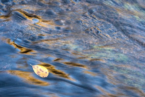 Reflections in a rushing stream, abstract, Dundret Nature Reserve, Gällivare, Norrbotten, Lapland,